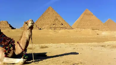 Best Egypt Holidays Travel Guide - Things to do 59 Egypt Holidays