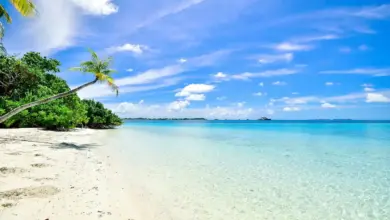 8 Best Beach Vacations in the World 14 Beach Vacations