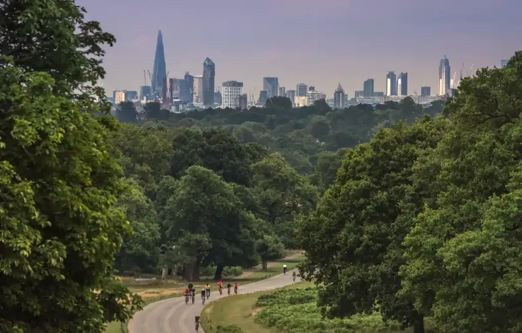 London, UK - 7 Best Things to Do on a Sunday 2 Richmond Park London