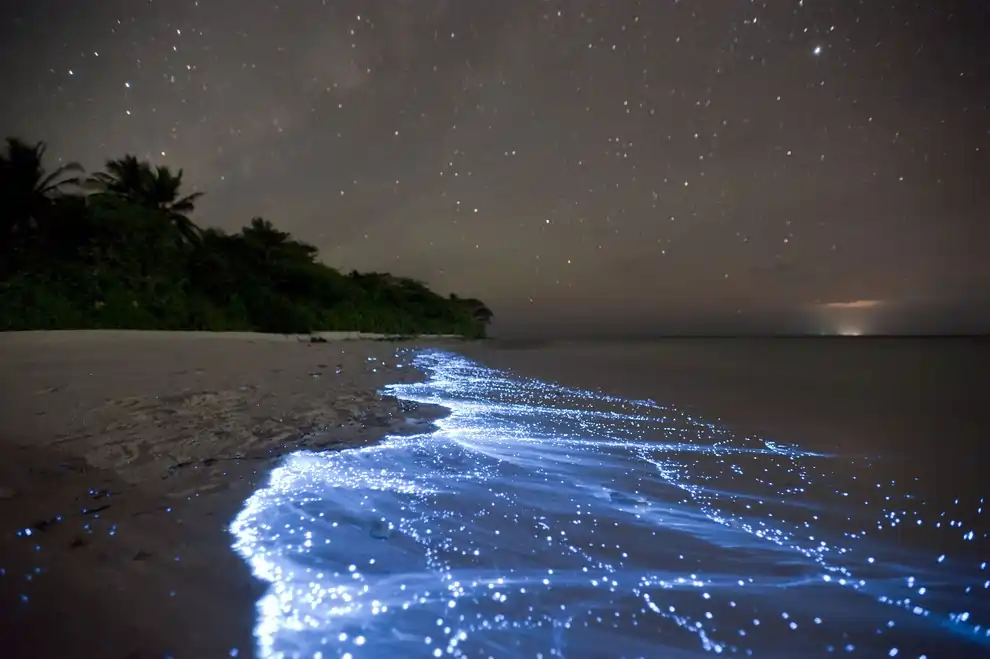10 World's Best Beaches That Redefine Coastal Beauty 4 Vaadhoo Island, Maldives