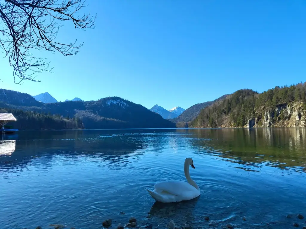 Travel Solo - 12 Best Places 5 Germany travel solo