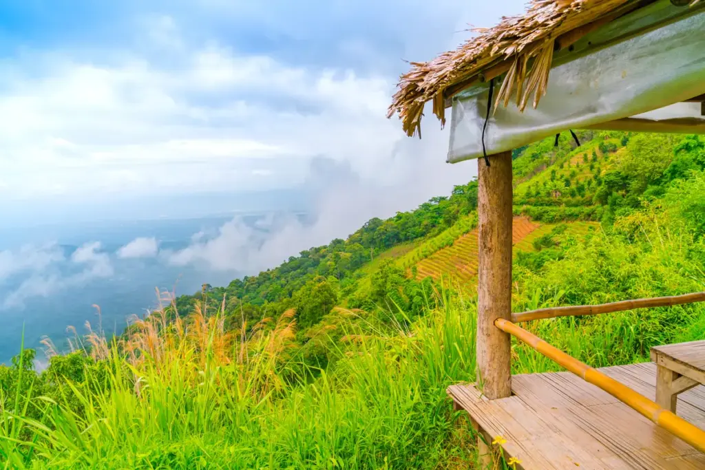 Best Time to Visit Bhutan 2 Bhutan Spring