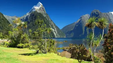 New Zealand